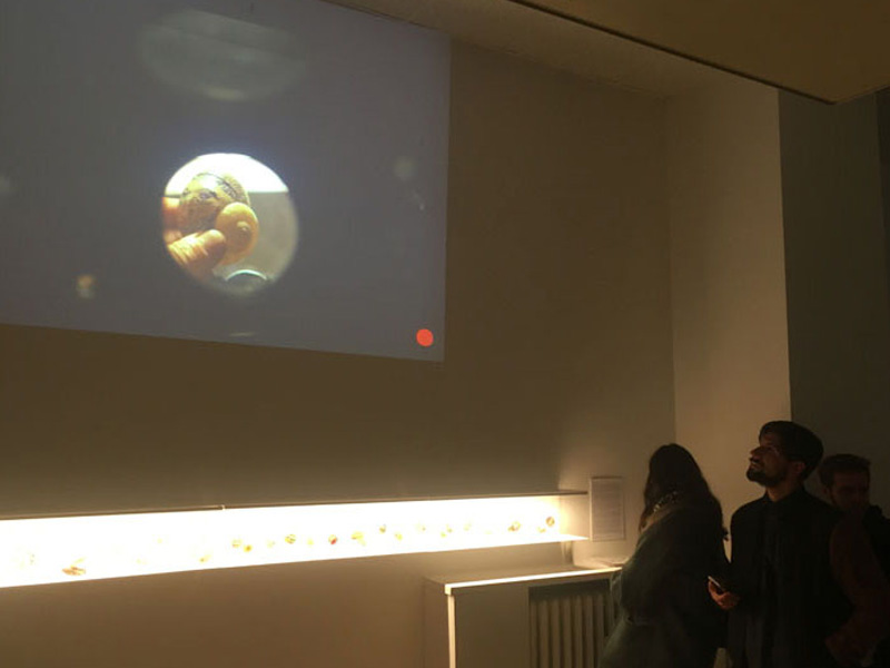  video proiezione Lo Presti dello Studio Mammafotogramma 