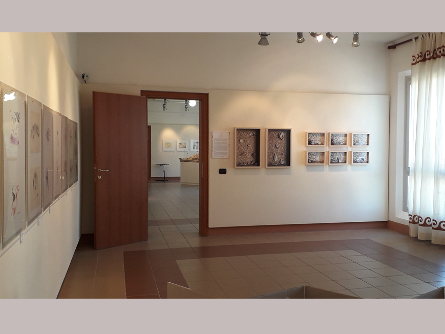 Sala polivalente